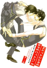 (C73) [Smilenico (Kisayuki)] Matagare Spectacle (Gintama) (2)