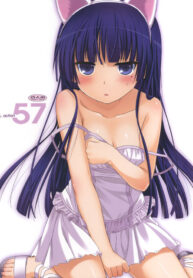 (C79) [Digital Lover (Nakajima Yuka)] D.L.action 57 (Ore no Imouto ga Konna ni Kawaii Wake ga Nai)