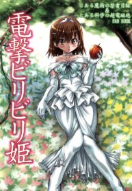 [CHINPUDO (Marui)] Dengeki Biribiri Hime | The Electric Bug Zapping Princess (Toaru Majutsu no Index)