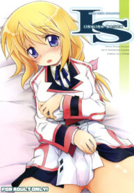 (COMIC1☆5) [Jyaraya (Morishima Petit)] IS -Icha Icha Stratos- (IS Infinite Stratos) [Thai ภาษาไทย] [Sorekara]