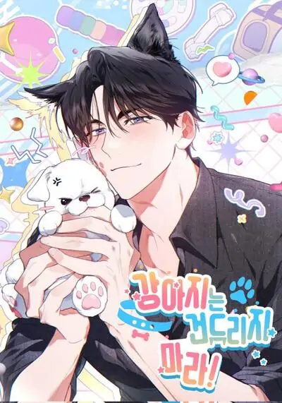 Don’t Mess with the Puppy! อย่ามาลองดีกับหมาน้อยนะ!