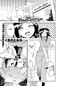 [Kumano Tooru] Doubutsuen no Oshigoto _ The Tasks of a Zoo (COMIC Penguin Club Sanzokuban 2012-01) [Thai ภาษาไทย] [HypNos]