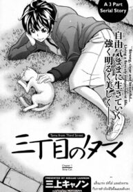 [Mikami Cannon] Sanchoume no Tama Tama from Third Street [Thai ภาษาไทย] {motosuva}