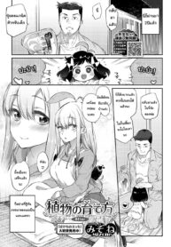 [Mizone] Shokubutsu no Sodatekata