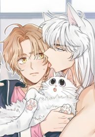 My one and only cat