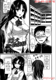 [Shimaji] Mesuinu Ojou-sama (Bitch Massakasama) [Thai ภาษาไทย] (2)