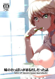 [Supe (Nakani)] Imouto no Oppai ga Marudashi Datta Hanashi (Marudashi x Sister)
