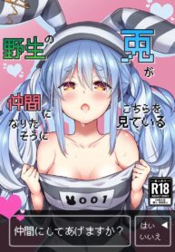 กระต่ายป่าสุดลามก [Hachinoko P (hatigo)] Yasei no Usagi ga Nakama ni Naritasou ni Kochira o Miteiru | Wild Rabbit Is Looking At You As If It Wants To Be Friends (Usada Pekora)