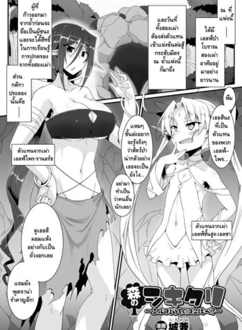การแข่งขันกระชับมิตร [Shirogane] Mori no Shikitari ~Erufu Doushi no Kon Kurabe?~ (2D Comic Magazine Futanari Battle Fuck!! Vol. 2)