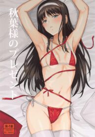ของขวัญผิดชีวิตเปลี่ยน (Dai 2-Kai Ultra Summer Festa) [PLANT (Tsurui)] Akiha-sama no Present (Tsukihime)