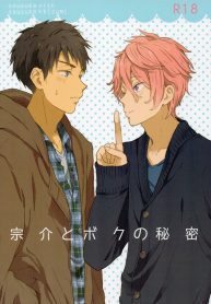 ความลับของผมกับโซสึเกะ 宗介とボクの秘密