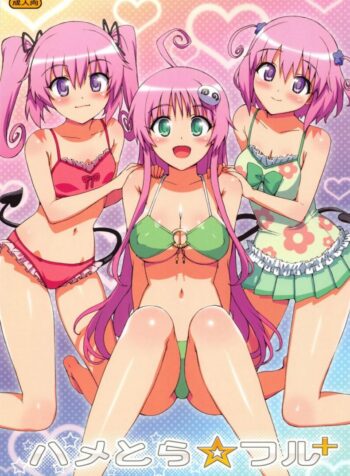 ชายที่เหมาะสม [Hame Tora Full]