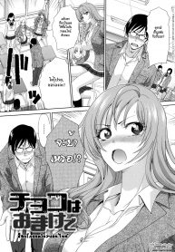 ช็อกโกแลตวันวาเลนไทน์ [Itaba Hiroshi] Choco wa Omake de _ The Chocolate is a Free Gift (Kono Haru, Kanojo ga Dekimashita.)