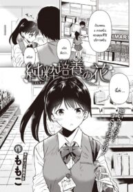 ดอกไม้บริสุทธิ์สีขาว [Momoko] Junsuibaiyou no hana (2)