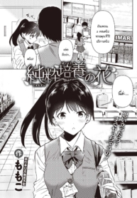 ดอกไม้บริสุทธิ์สีขาว [Momoko] Junsuibaiyou no hana