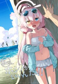 ดีที่สุดคือไม่ใส่เลย | [Henry Plaza (Henrybird)] (Watashi wa) Hoshino ga Iin da yo!! (Blue Archive)