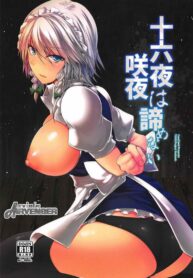 ตั้งใจโดนจับ (C92) [CausCiant (Yamaiso)] Izayoi Sakuya wa Akiramenai (Touhou Project)