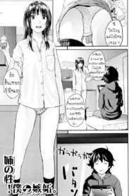 ทำความสะอาดห้องนั่งเล่น [Yoshida Tobio] Ane no Sei! Boku no Shitto. | My Sister’s Sex! My Jealousy. (Onee-chan no Naka)