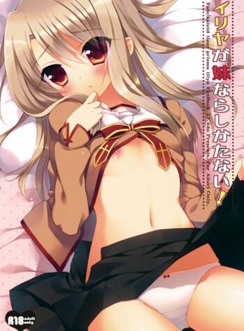 ทำเรื่องลามกกับพี่ชาย (C84) [23.4Do (Ichiri)] Illya ga Imouto nara Shikatanai (Fate kaleid liner Prisma Illya) (2)