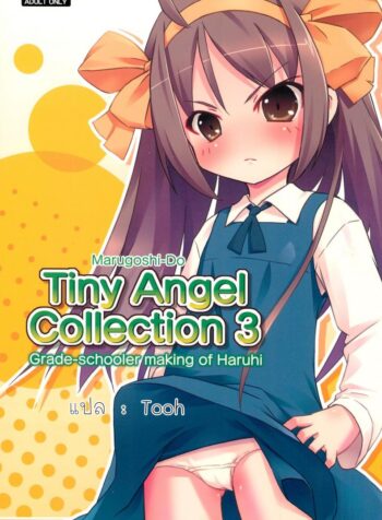 นางฟ้าตัวน้อย Tiny Angel Collection 3 (Suzumiya Haruhi no Yuuutsu) (2)