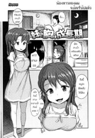 น้องสาวของผม โตไวไปแล้ว | [Hayake] Imouto no Mune wa Seichou-ki (Nani Suru no!? Onii-chan!!)