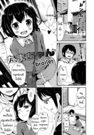 น้องแมว ทามะจัง [Broiler] Tama-chan (2)