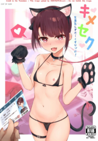 พี่ชายSน้องสาวM | [Shuusei Patch 3GB (kanju)] Kimeseku _Namaiki Sister Kusurizuke!~