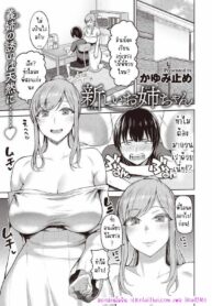 พี่สาวไซส์ใหญ่ | [Kayumidome] Atarashii Onee-chan | New Big Sister ~Threesome With Brothers~