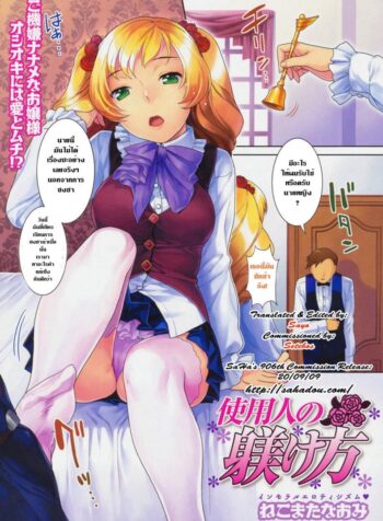 สอนวิธีชงชา [Nekomata Naomi] Hatsujoh Neko Manman