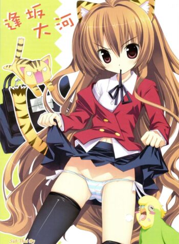 สาวน้อยขี้โมโห (C75) [Essentia (Fujima Takuya)] Hiza Nori Tiger (Toradora!) (2)