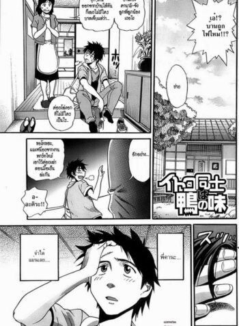 สาวเอ๋อ [DISTANCE] Itoko Doushi wa Kamo no Aji (Young Comic 2008-09)