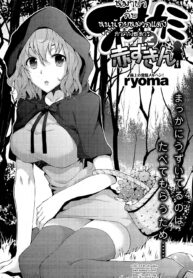 หมาป่ากับหนูน้อยหมวกแดงภาคพิสดาร | [ryoma] Ookami to Akazukin | The Wolf and Little Red Riding Hood (COMIC Shitsurakuten 2012-11)