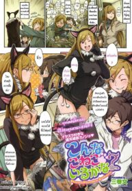 หยอกให้รักจัดให้เข็ด [Minato Fumi] Konna Koneko Irukana!? (COMIC Megastore 2009-05) (2)