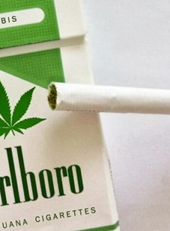 หยุดเวลาสายควัน [Ochi Gento] Stop Smoking