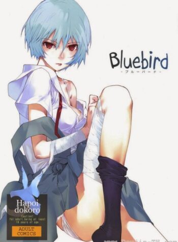 อีวานเกเลียน – นกสีน้ำเงิน (C77) [Hapoi-dokoro (Okazaki Takeshi)] Bluebird (Neon Genesis Evangelion)