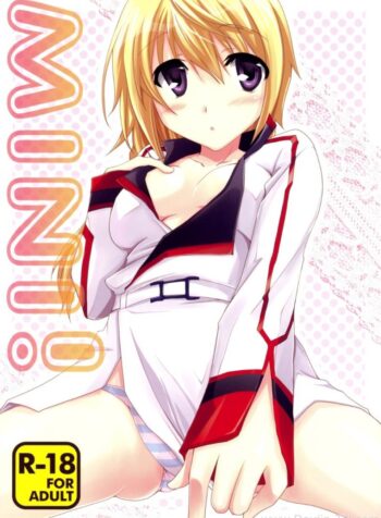 อุปกรณ์ประกอบการเสร็จกิจ [Yamabuki Mook] MINI! (Infinite stratos)