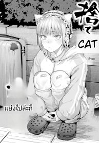 เก็บแมวจรจัดมาเลี้ยง