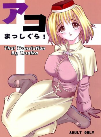 เปลี่ยนอาชีพเป็นทาสสาว (C64) [KitKaters (Takaoka Motofumi)] Aco Masshigura! (Ragnarok Online) (2)