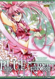 เมื่อวานเป็นลูก วันนี้เป็นเมีย (C80) [BLUE GARNET (Serizawa Katsumi)] Mugen Houyou | Fantasy Embrace (Suite Precure) (2)