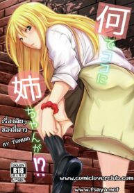 เรื่องลับๆ ของพี่สาว | (C97) [Junk Box (Mutsuki)] Nande Koko ni Nee-chan ga!?