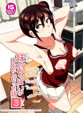 เรื่องสุดซี้ดของน้องสาวโนตมๆ [nakani] Imouto no Oppai ga Marudashi Datta Hanashi 3 (decensored) (supe) (2)
