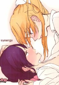 เอริจิ x โนโซมิ | (GirlsLoveFestival10) [ALUSTRO (Gyarin)] synergy (Love Live!)