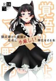 แมวน้อยเหมาๆ | [meteor craft (Salad Nozomi)] Nekomimi chaku keta neko neko ga nou otoni tekibishii houshi wo suru hon (Kusuriya no Hitorigoto)